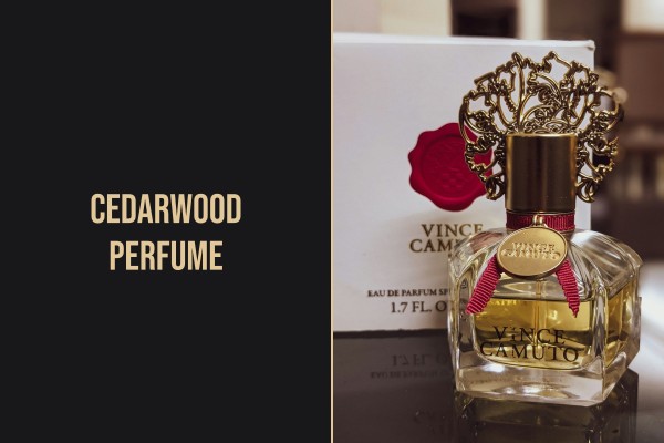 cedarwood perfume
