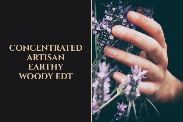 concentrated artisan earthy woody edt