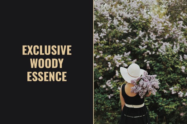 exclusive woody essence