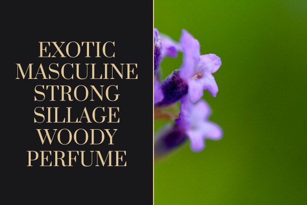 exotic masculine strong sillage woody perfume