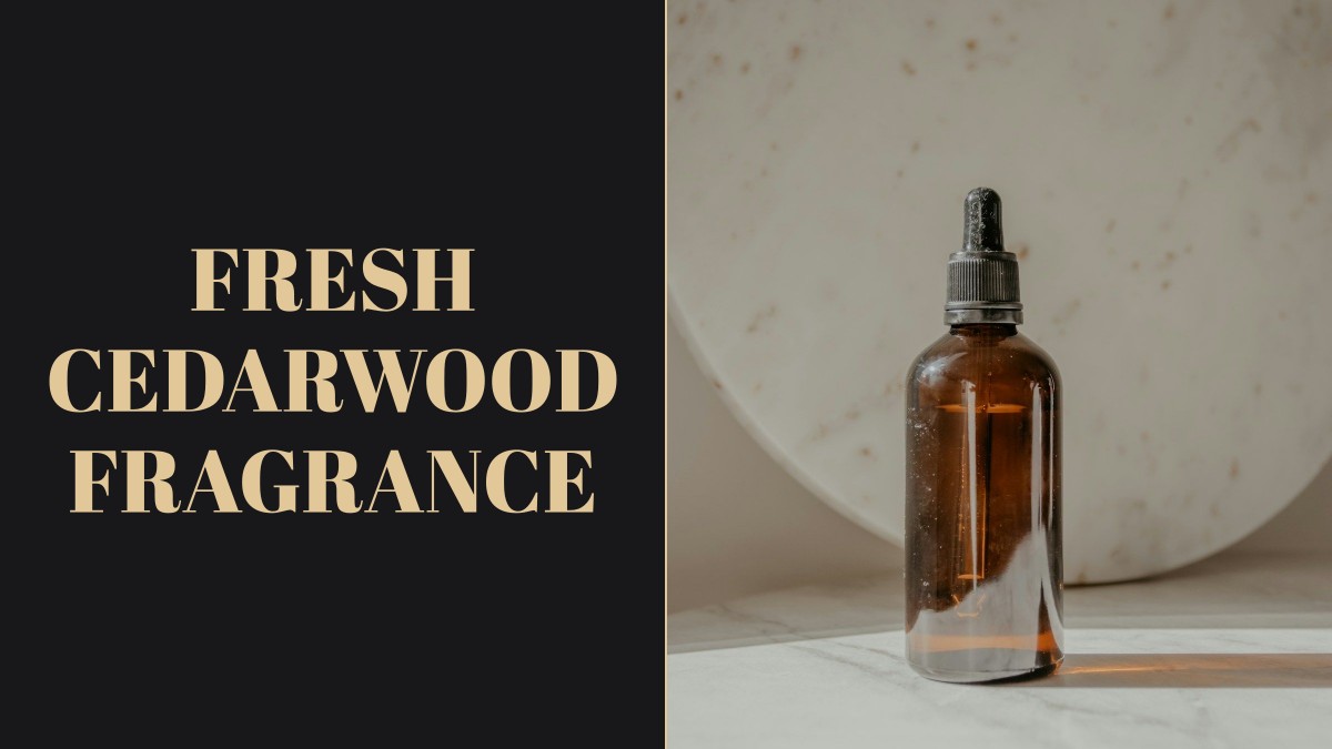 fresh cedarwood fragrance