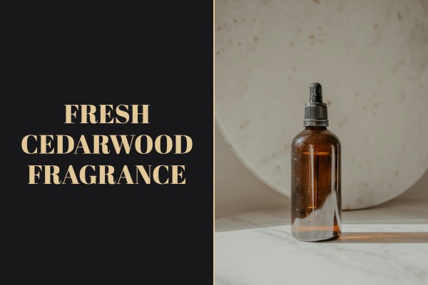 fresh cedarwood fragrance
