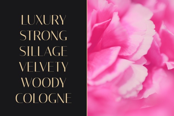 luxury strong sillage velvety woody cologne