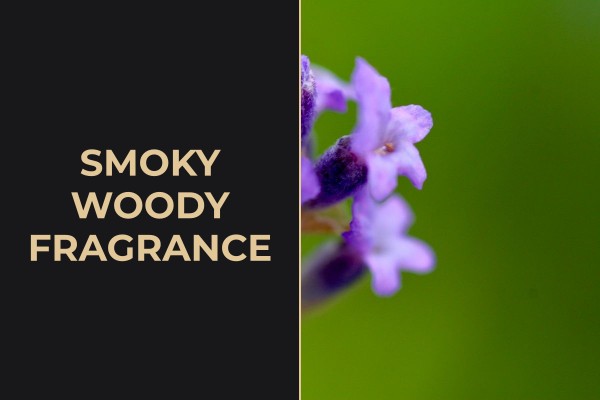 smoky woody fragrance