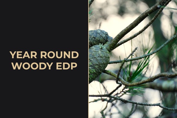 year-round woody edp